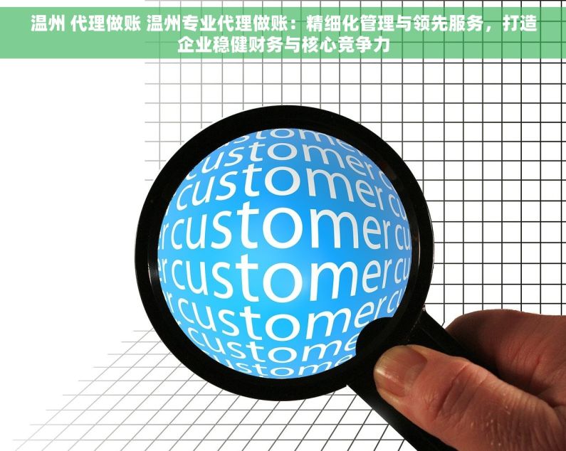 温州 代理做账 温州专业代理做账：精细化管理与领先服务，打造企业稳健财务与核心竞争力