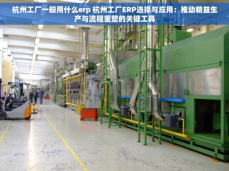 杭州工厂一般用什么erp 杭州工厂ERP选择与应用：推动精益生产与流程重塑的关键工具