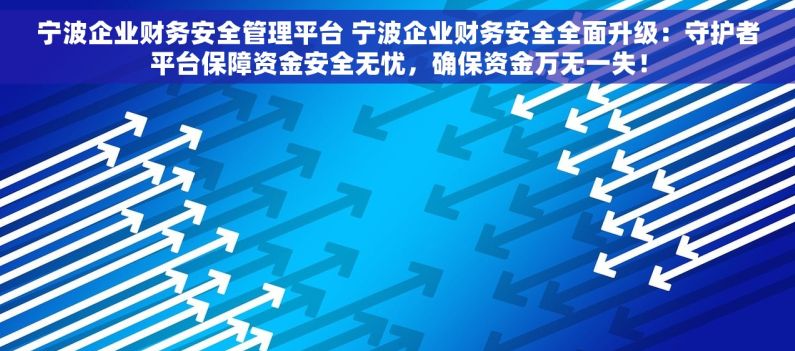 宁波企业财务安全管理平台 宁波企业财务安全全面升级：守护者平台保障资金安全无忧，确保资金万无一失！