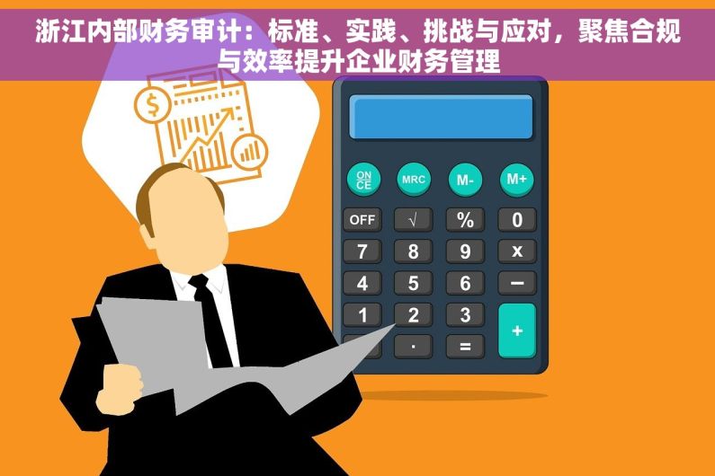 浙江内部财务审计：标准、实践、挑战与应对，聚焦合规与效率提升企业财务管理