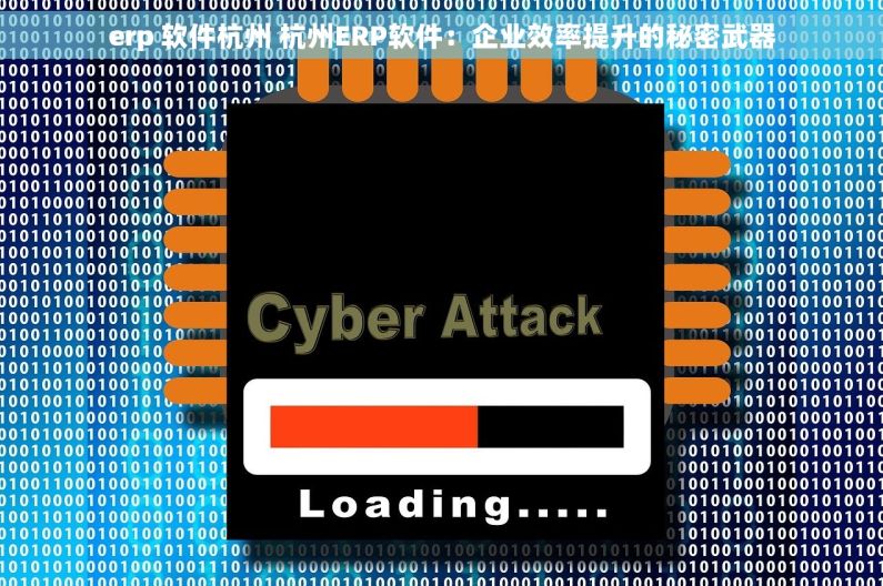 erp 软件杭州 杭州ERP软件：企业效率提升的秘密武器