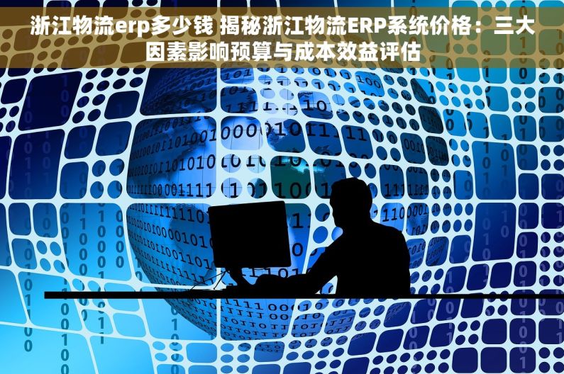 浙江物流erp多少钱 揭秘浙江物流ERP系统价格：三大因素影响预算与成本效益评估