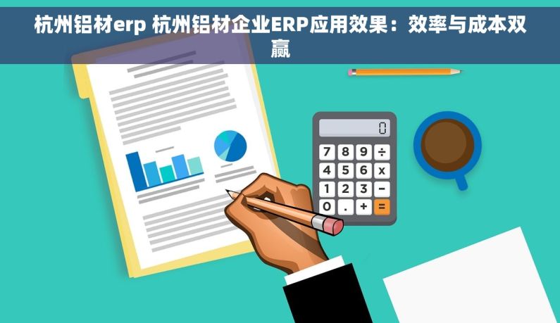 杭州铝材erp 杭州铝材企业ERP应用效果：效率与成本双赢
