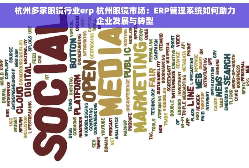 杭州多家眼镜行业erp 杭州眼镜市场：ERP管理系统如何助力企业发展与转型