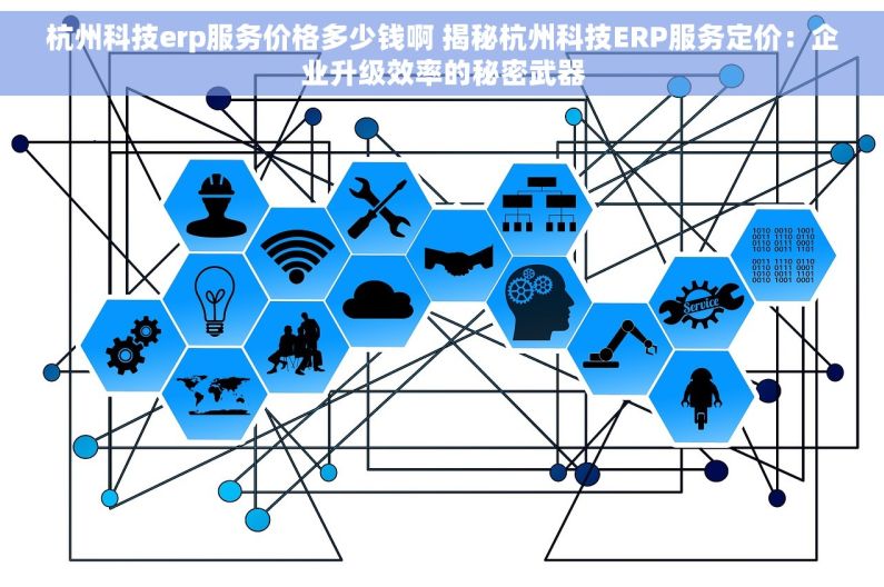 杭州科技erp服务价格多少钱啊 揭秘杭州科技ERP服务定价：企业升级效率的秘密武器