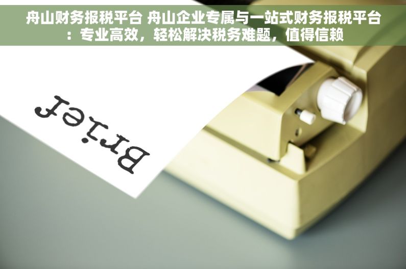 舟山财务报税平台 舟山企业专属与一站式财务报税平台：专业高效，轻松解决税务难题，值得信赖