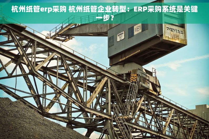 杭州纸管erp采购 杭州纸管企业转型：ERP采购系统是关键一步？