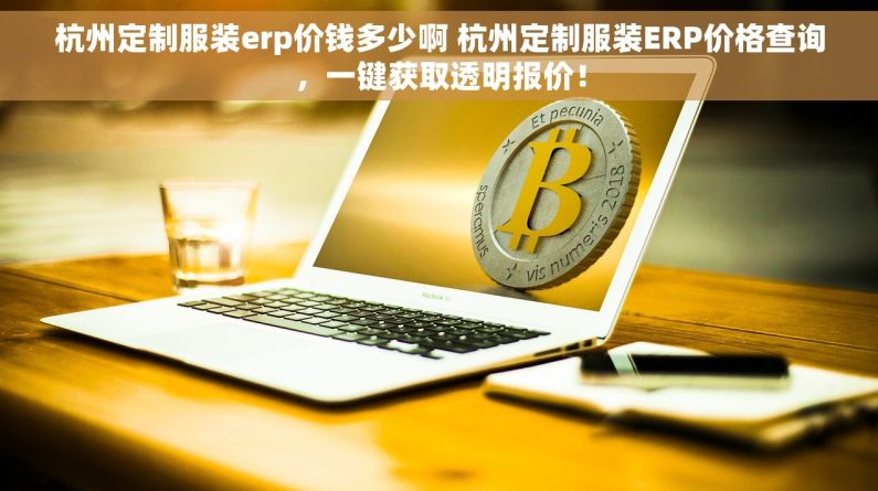 杭州定制服装erp价钱多少啊 杭州定制服装ERP价格查询，一键获取透明报价！