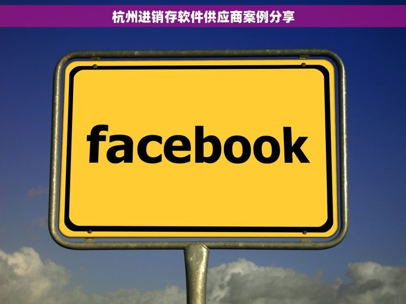 杭州进销存软件供应商案例分享