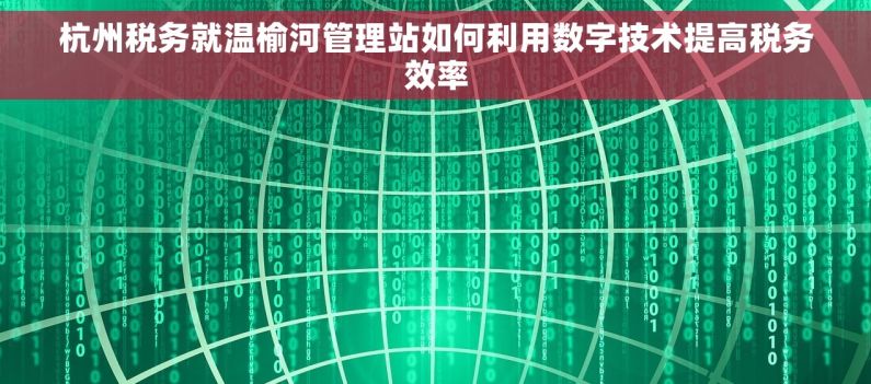 杭州税务就温榆河管理站如何利用数字技术提高税务效率