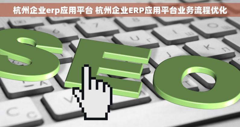 杭州企业erp应用平台 杭州企业ERP应用平台业务流程优化