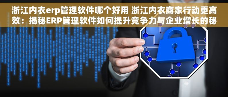 浙江内衣erp管理软件哪个好用 浙江内衣商家行动更高效：揭秘ERP管理软件如何提升竞争力与企业增长的秘密
