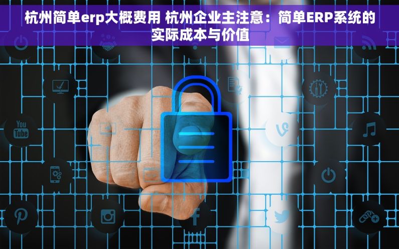 杭州简单erp大概费用 杭州企业主注意：简单ERP系统的实际成本与价值