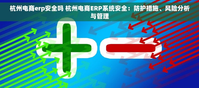 杭州电商erp安全吗 杭州电商ERP系统安全：防护措施、风险分析与管理