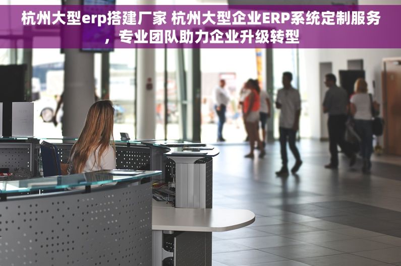 杭州大型erp搭建厂家 杭州大型企业ERP系统定制服务，专业团队助力企业升级转型