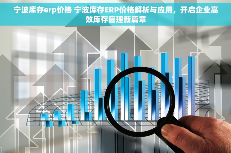 宁波库存erp价格 宁波库存ERP价格解析与应用，开启企业高效库存管理新篇章