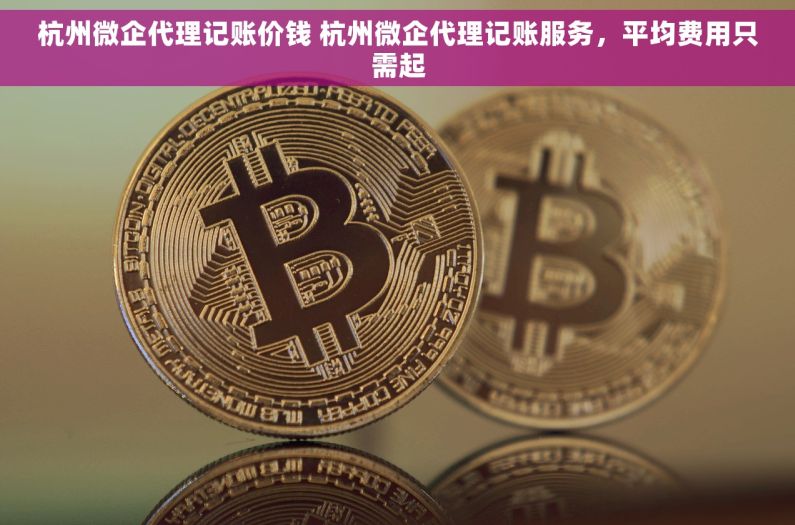 杭州微企代理记账价钱 杭州微企代理记账服务，平均费用只需起