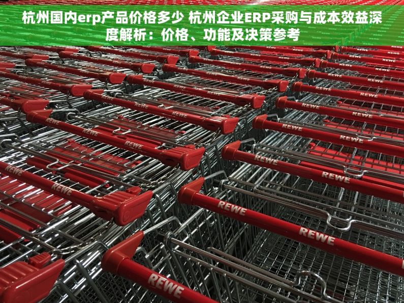 杭州国内erp产品价格多少 杭州企业ERP采购与成本效益深度解析：价格、功能及决策参考