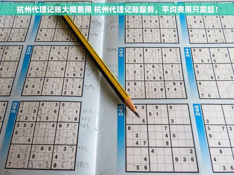 杭州代理记账大概费用 杭州代理记账服务，平均费用只需起！
