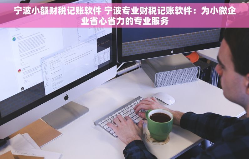 宁波小额财税记账软件 宁波专业财税记账软件：为小微企业省心省力的专业服务