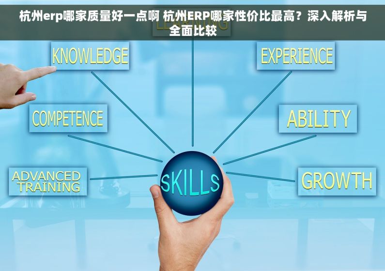 杭州erp哪家质量好一点啊 杭州ERP哪家性价比最高？深入解析与全面比较