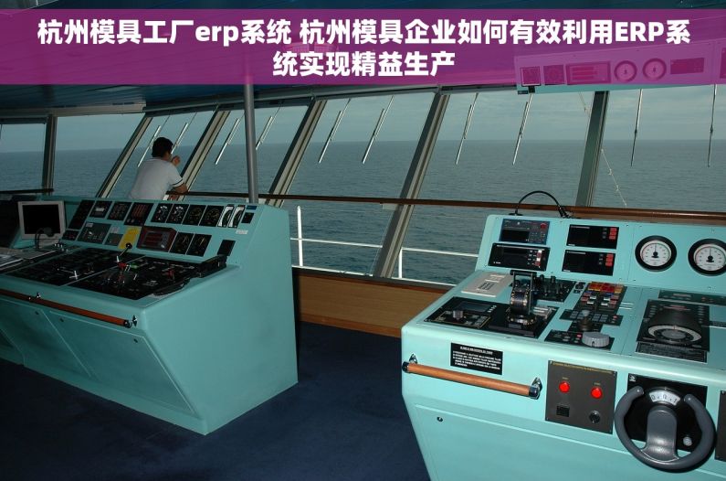 杭州模具工厂erp系统 杭州模具企业如何有效利用ERP系统实现精益生产