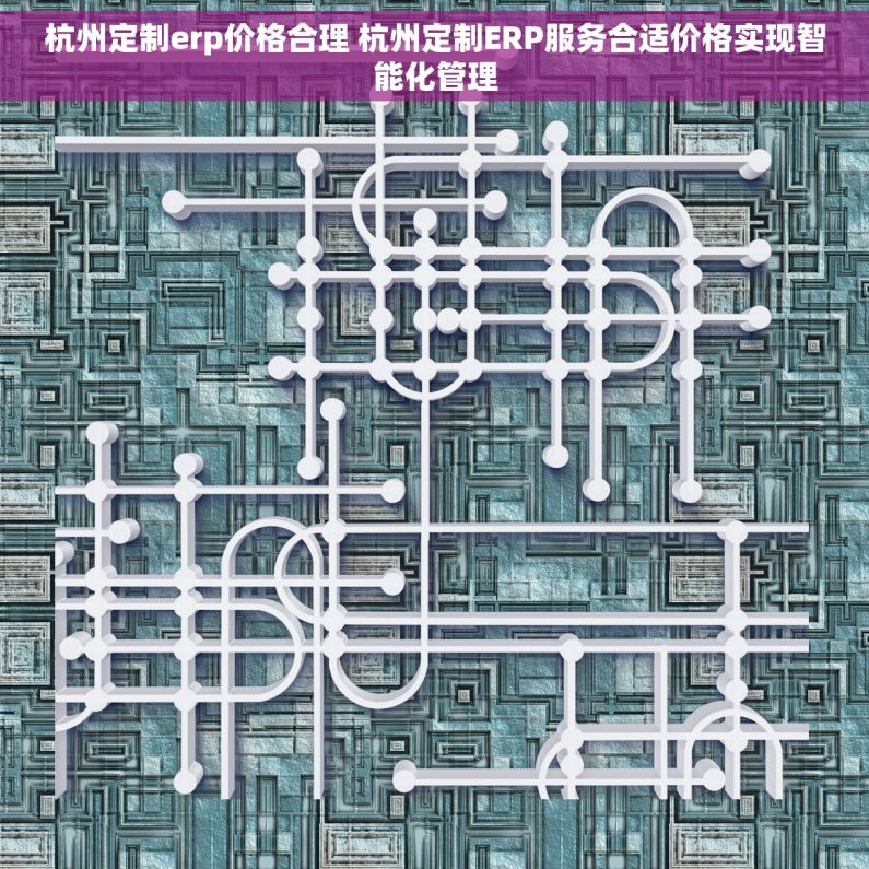 杭州定制erp价格合理 杭州定制ERP服务合适价格实现智能化管理