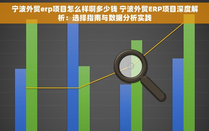 宁波外贸erp项目怎么样啊多少钱 宁波外贸ERP项目深度解析：选择指南与数据分析实践