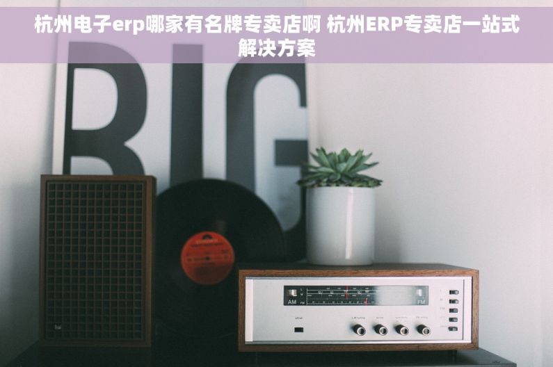 杭州电子erp哪家有名牌专卖店啊 杭州ERP专卖店一站式解决方案