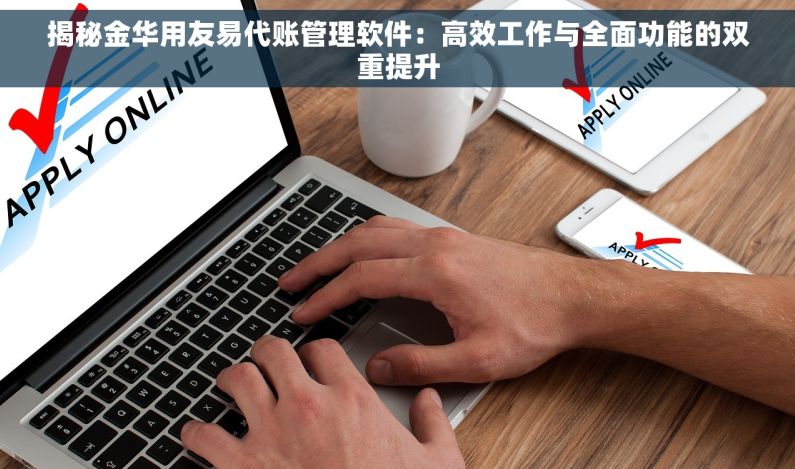 揭秘金华用友易代账管理软件：高效工作与全面功能的双重提升