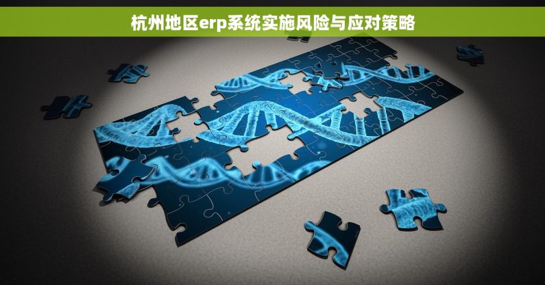 杭州地区erp系统实施风险与应对策略