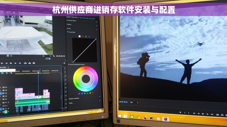 杭州供应商进销存软件安装与配置