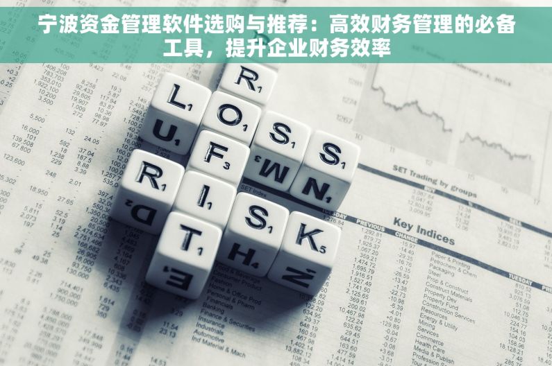 宁波资金管理软件选购与推荐：高效财务管理的必备工具，提升企业财务效率