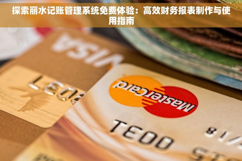 探索丽水记账管理系统免费体验：高效财务报表制作与使用指南