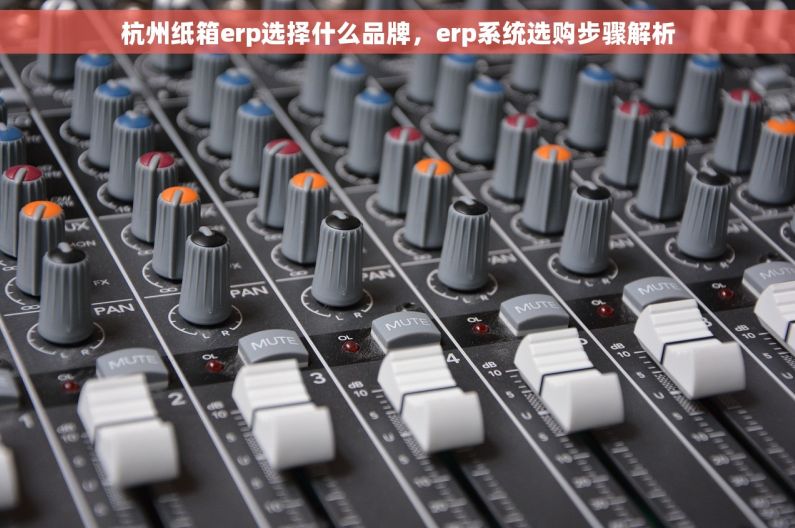 杭州纸箱erp选择什么品牌，erp系统选购步骤解析