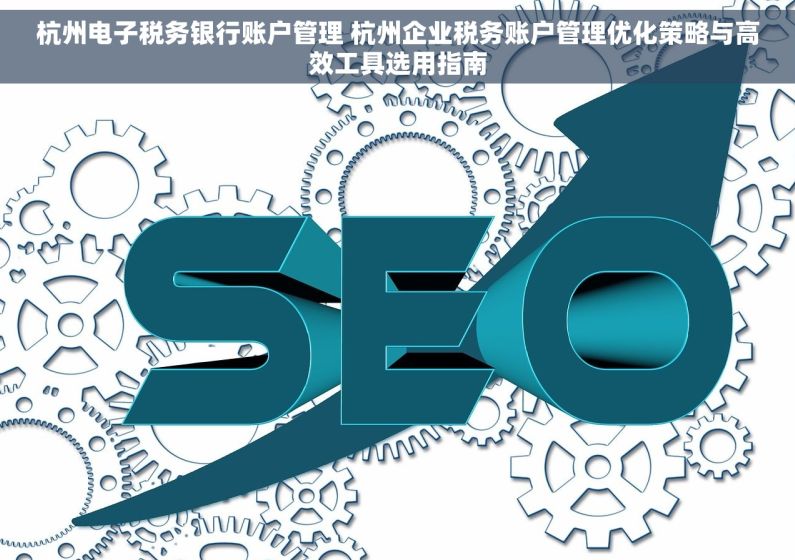 杭州电子税务银行账户管理 杭州企业税务账户管理优化策略与高效工具选用指南