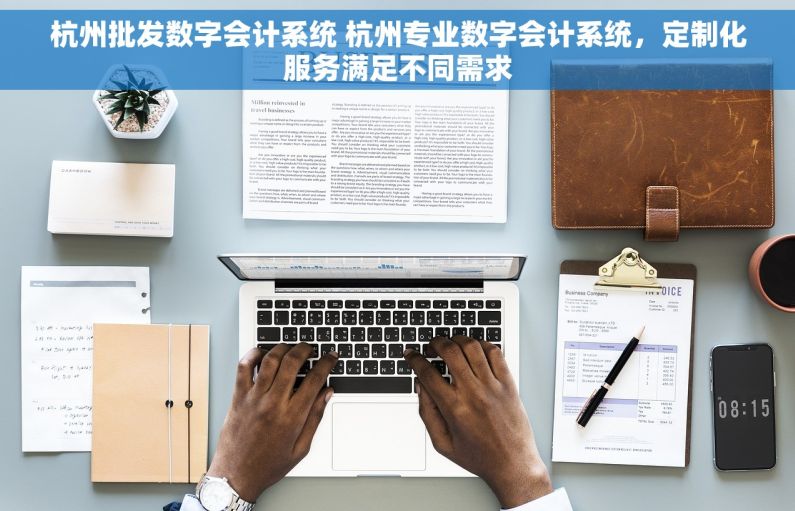 杭州批发数字会计系统 杭州专业数字会计系统，定制化服务满足不同需求