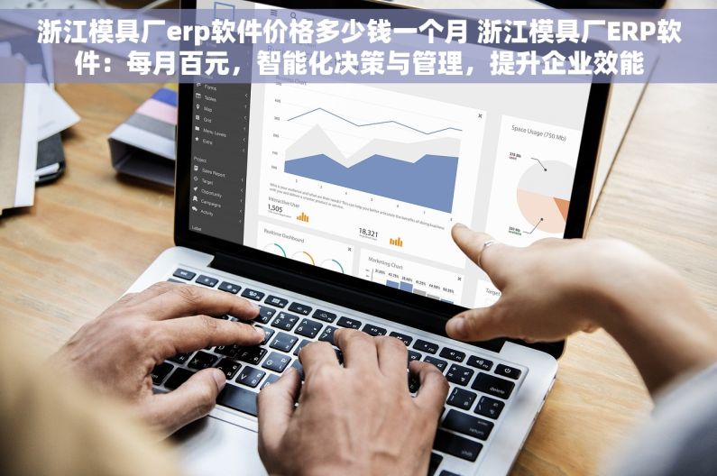 浙江模具厂erp软件价格多少钱一个月 浙江模具厂ERP软件：每月百元，智能化决策与管理，提升企业效能