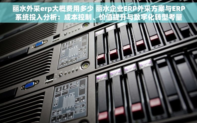 丽水外采erp大概费用多少 丽水企业ERP外采方案与ERP系统投入分析：成本控制、价值提升与数字化转型考量