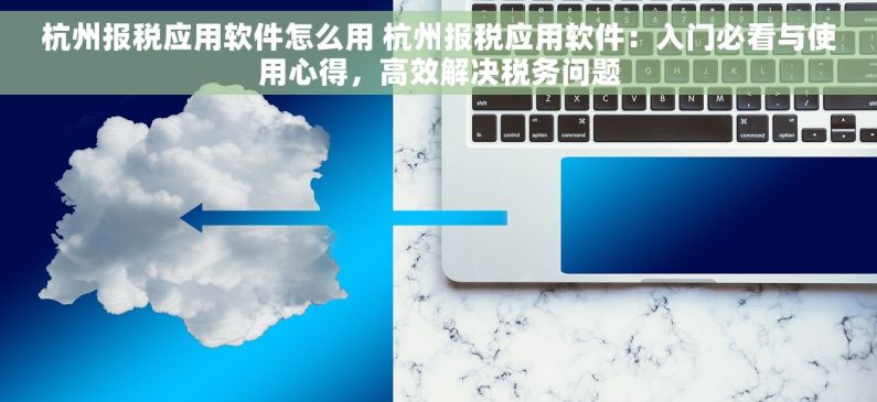 杭州报税应用软件怎么用 杭州报税应用软件：入门必看与使用心得，高效解决税务问题