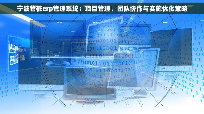 宁波管桩erp管理系统：项目管理、团队协作与实施优化策略