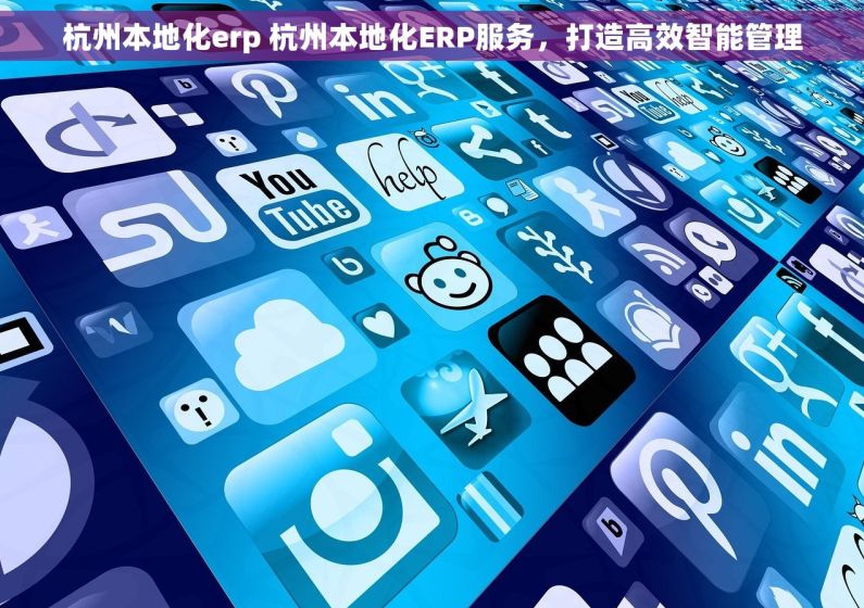 杭州本地化erp 杭州本地化ERP服务，打造高效智能管理