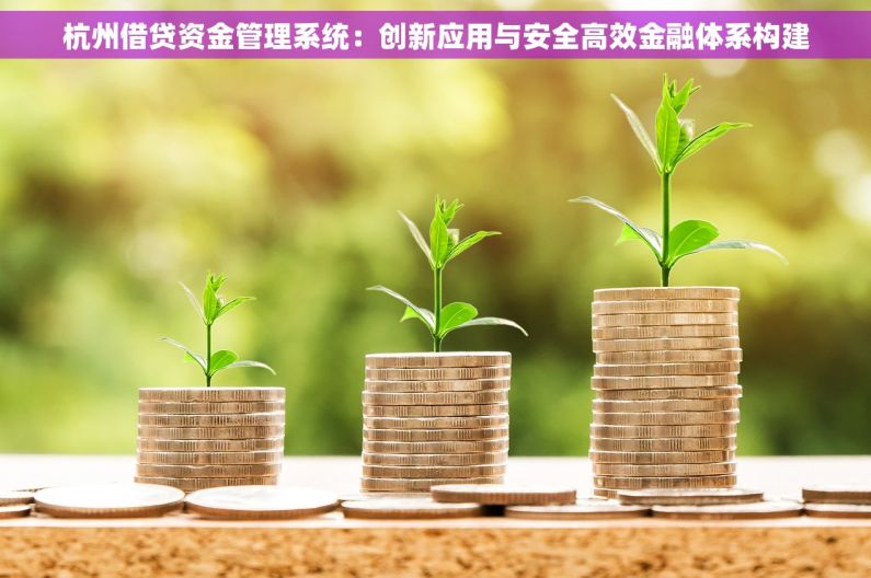 杭州借贷资金管理系统：创新应用与安全高效金融体系构建