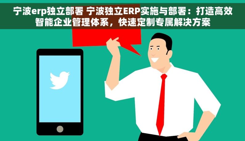 宁波erp独立部署 宁波独立ERP实施与部署：打造高效智能企业管理体系，快速定制专属解决方案