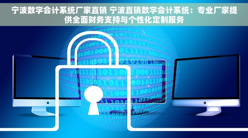 宁波数字会计系统厂家直销 宁波直销数字会计系统：专业厂家提供全面财务支持与个性化定制服务