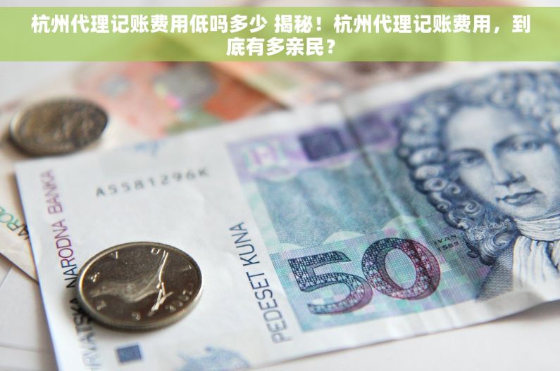 杭州代理记账费用低吗多少 揭秘！杭州代理记账费用，到底有多亲民？