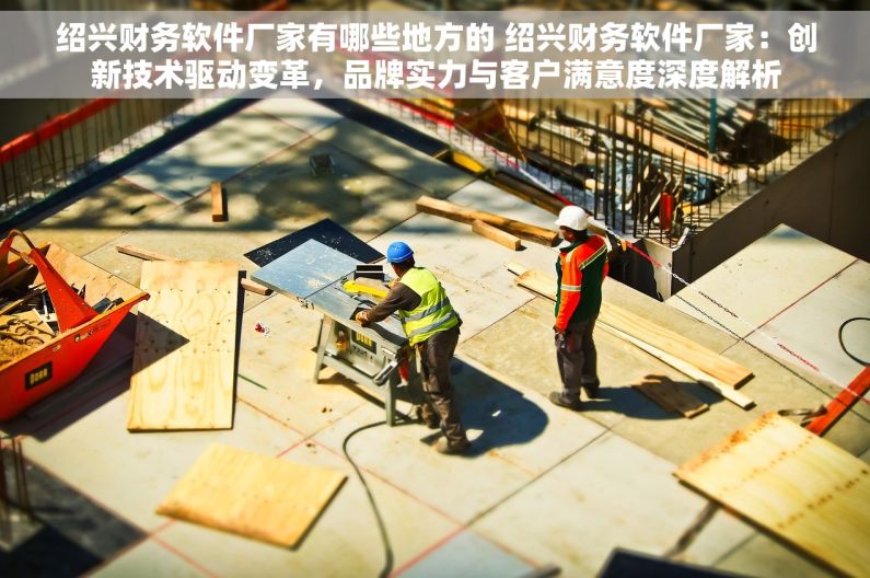 绍兴财务软件厂家有哪些地方的 绍兴财务软件厂家：创新技术驱动变革，品牌实力与客户满意度深度解析
