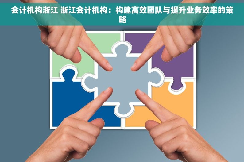 会计机构浙江 浙江会计机构：构建高效团队与提升业务效率的策略
