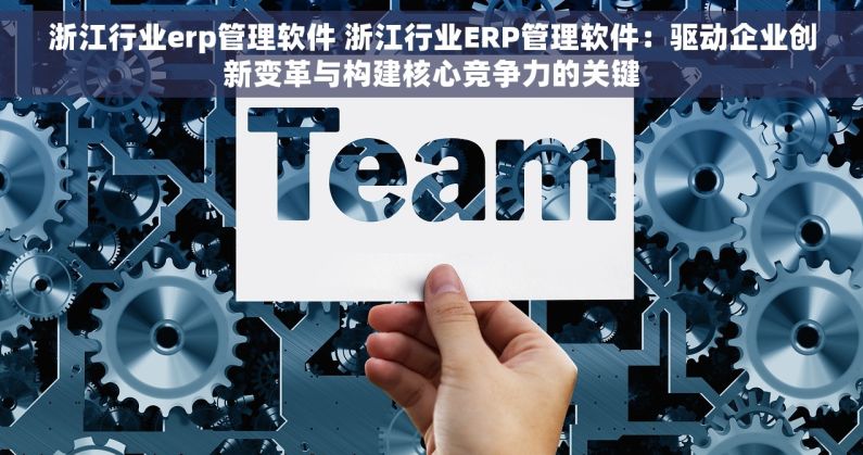 浙江行业erp管理软件 浙江行业ERP管理软件：驱动企业创新变革与构建核心竞争力的关键