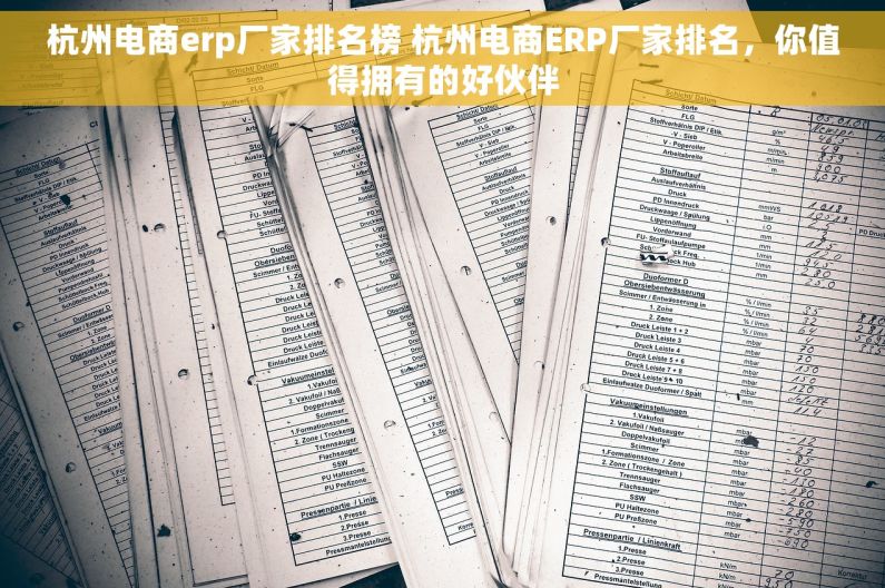 杭州电商erp厂家排名榜 杭州电商ERP厂家排名，你值得拥有的好伙伴